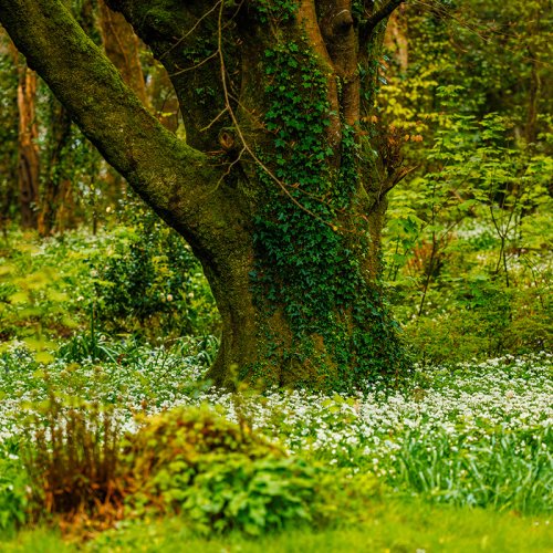 The people who bring us Spring at Mount Falcon